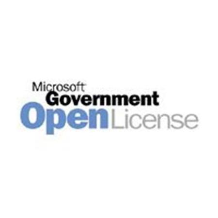 Microsoft &reg; Excel License/Software Assurance Pack Government OPEN 1 License No Level