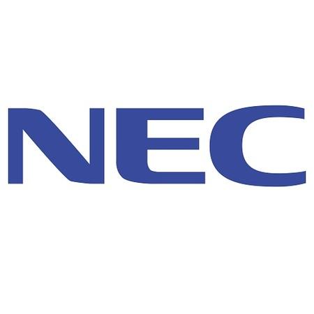 NEC SP-P4046 - left / right channel speakers