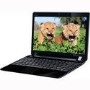 Asus EEE PC 1201HA -BLK023M Netbook in Black