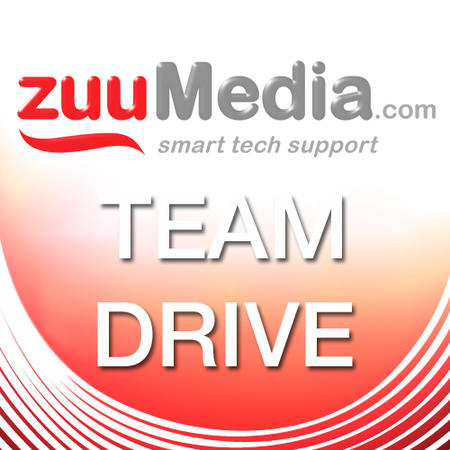 Team Drive (Business Backup and File Server) 25GB - 3 Years