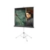 Da-Lite Picture King projection screen with tripod 99 inch