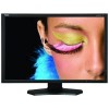 NEC 23&quot;  SpectraView 232 60003161 Full HD Monitor