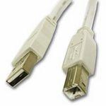 Cables To Go 5m USB 2.0 A/B Cable White
