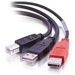 Cables To Go USB 2.0 B Male to 2 USB A Male Y-Cable