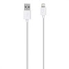 Belkin 1.2m Charge and Sync Cable for Apple iPhone and iPad in White