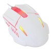 CiT Storm White Red Backlit Keyboard and Mouse kit with Red LED