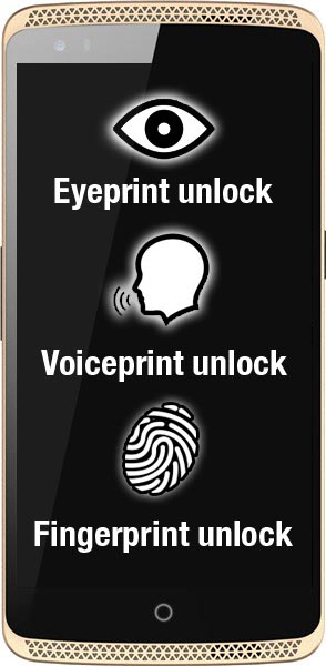 Biometric Authentication