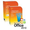Microsoft Office 2010
