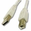 81561 Cables To Go 2m USB 2.0 A/B Cable White