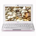 ASUS EeePC 1008HA SeaShell in Pink - 5 Hour Battery Life