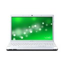 Sony VAIO EE2E1E/WI Windows 7 Laptop - Silver Lid
