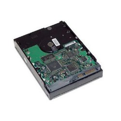 HP Dual Port hard drive - 300 GB - SAS
