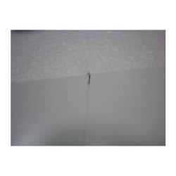 HP - high-gloss photo paper - 1 roll(s)