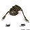 Belkin USB Cable Ext A-B 180cm