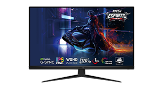 MSI G321Q 31.5 WQHD 170Hz