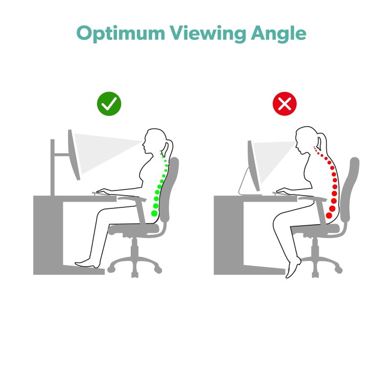Dual Monitor Arms for monitors from 13 inch to 27 inch