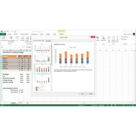 Microsoft Excel 2013 32-bit/64-bit English Medialess Licence