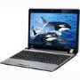 Asus EEE PC 1201HA Netbook in Silver