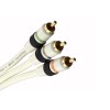 Monster Video 1 Component Cable - 1m 