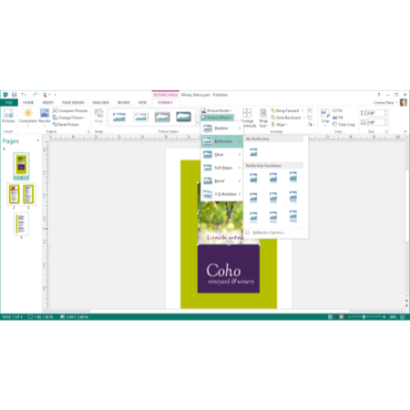 Microsoft Publisher 2013 32-bit/64-bit English Medialess Licence