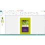 Microsoft Publisher 2013 32-bit/64-bit English Medialess Licence
