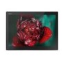 Lenovo ThinkPad X1 3rd Gen Core i7-8550U 512GB SSD 13 Inch QHD Windows 10 Pro Tablet