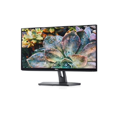 Dell SE2419H 24