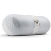 Beats Pill 2.0 Speaker - Gold