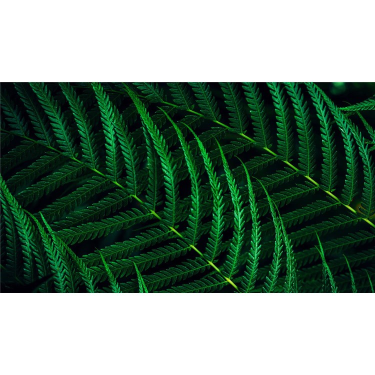 Philips 5000 Series 24B2G5200 24" IPS Full HD 100Hz Efficiency Business Monitor