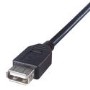 2M USB A Cable - Black
