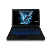 MEDION Erazer X7851 Core i5-7300HQ 8GB 1TB + 128GB SSD GeForce GTX 1060 6GB 17.3 Inch Windows 10 Gaming Laptop
