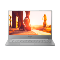 Medion Akoya P6645 Core i5-8265U 8GB 256GB SSD 15.6 Inch GeForce MX 150 Windows 10 Home Gaming Laptop