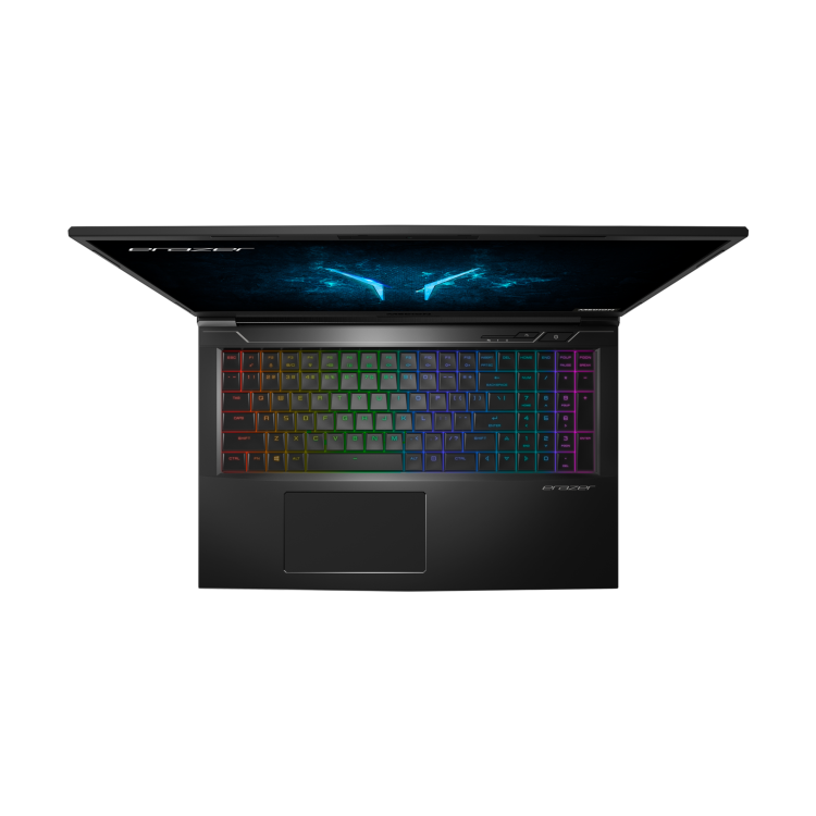 Medion P17815 Core i7-9750H 8GB 1TB HDD + 256GB SSD 17.3 Inch GeForce GTX 1660Ti Windows 10 Gaming Laptop