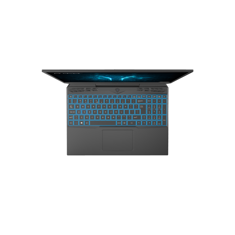 Medion Erazer Deputy P10 Core i5-10300H 8GB 512GB SSD 15.6 Inch FHD GeForce GTX 1660 Ti 6GB Windows 10 Gaming Laptop 