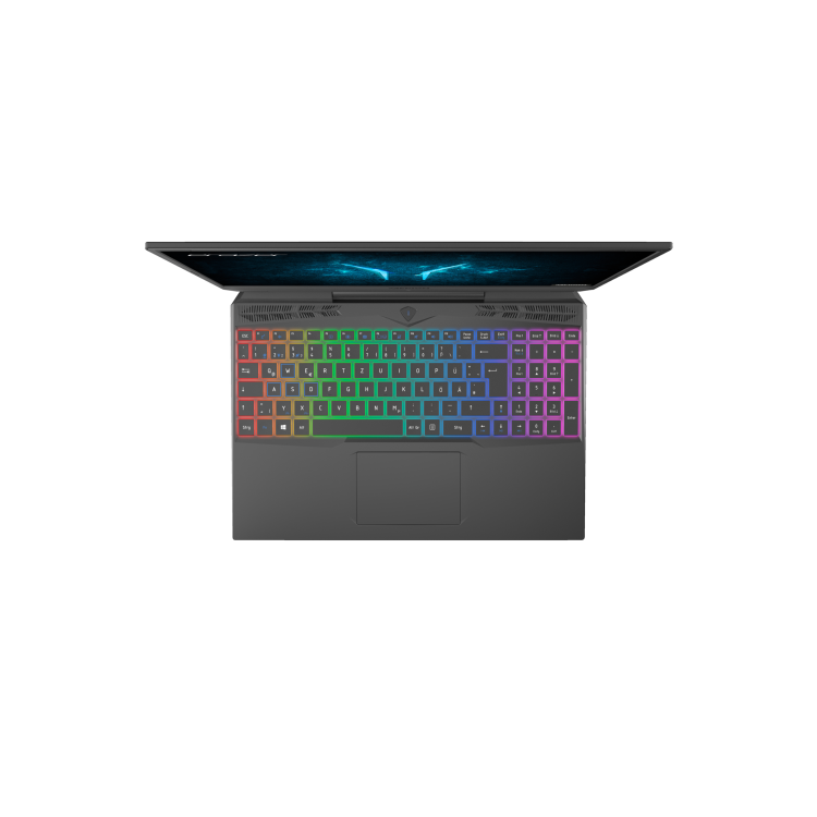 Medion Erazer Deputy P10 Core i5-10300H 8GB 512GB SSD 15.6 Inch FHD GeForce GTX 1660 Ti 6GB Windows 10 Gaming Laptop 