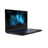 GRADE A2 - Medion Erazer Guardian X10 Core i7-10750H 16GB 1TB SSD 15.6 Inch GeForce RTX 2070 Super Windows 10 Gaming Laptop