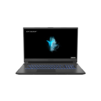 MEDION Defender NH77EPY-M Ryzen 7-5800H 16GB 512GB SSD RTX 3060 17.3 Inch Windows 10 Laptop