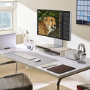 LG UltraFine 32U990A-S 32" IPS 6K USB-C Thunderbolt 5 Professional Monitor