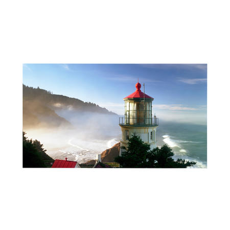 LG 49VL5B 49" IPS Full HD Video Wall Large Format Display