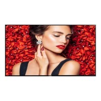 Philips 55BDL4031D 55" Full HD Large Format Displays