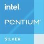 Dell OptiPlex 3000 Intel Pentium Silver N6005 8GB RAM 64GB eMMc Wyse ThinOS Thin Client PC