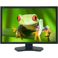 NEC 30 inch LCD Black MultiSync Wide Screen Monitor