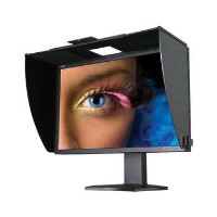 NEC SpectraView Reference 301 60002929