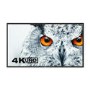 NEC 60004106 98" 4K UHD Large Format Display