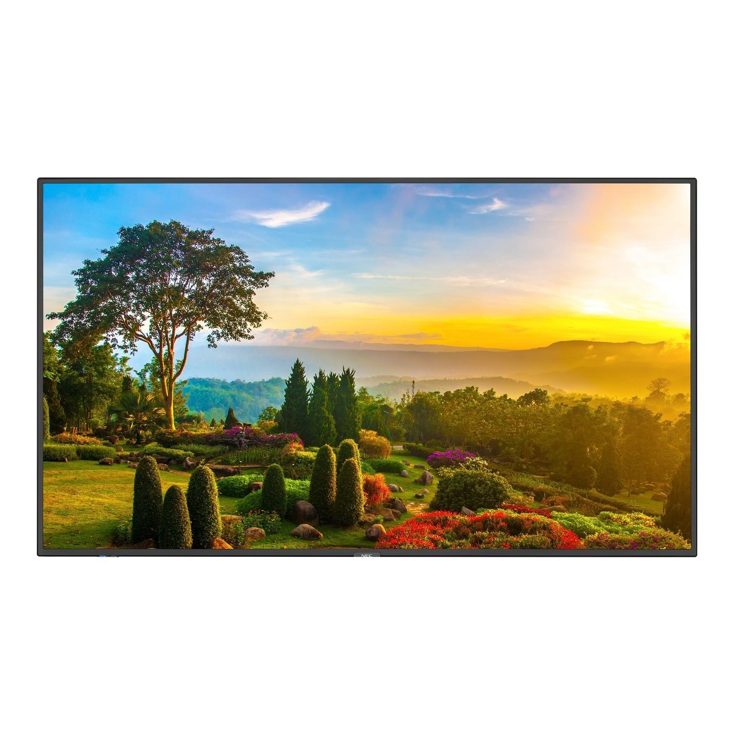 MultiSync M551 55 4K UHD TouchScreen Large Format Display