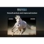 Refurbished TCL 55" 4K Ultra HD with HDR10+ FreeSat LED Smart TV