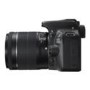 Canon EOS 100D DSLR Camera + 18-55mm IS STM Lens