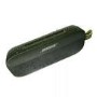 Bose Soundlink Flex Speaker - Green