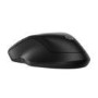 HP 255 Dual Wireless Mouse
