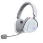 ASUS ROG Delta II Wireless Gaming Headset (50mm Titanium Drivers, ROG SpeedNova, 10mm Super-Wideband Mic, 153-HR Battery, DualFlow Audio, BT, 2.4GHz, 3.5mm, For PC, Switch, PS4, PS5, Xbox)- Black